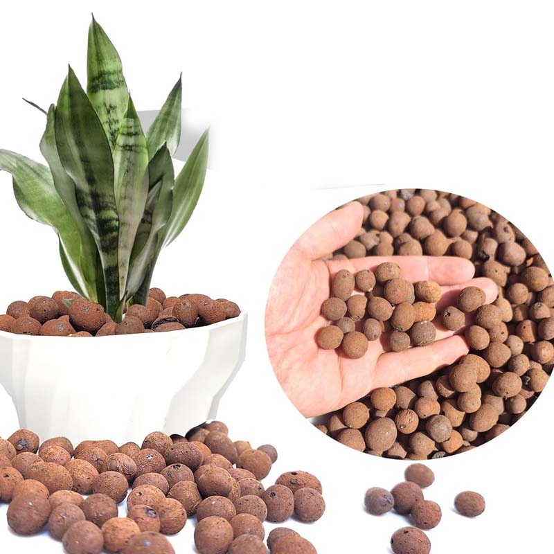 Clay Pebble Growing - 100/200/500g Clay Pebbles Hydroponic Rocks Organic